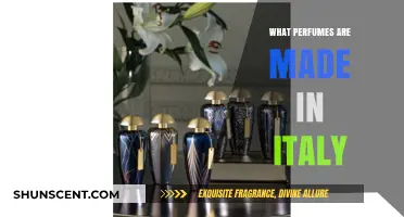Discover Italy's Finest: Iconic Perfumes Crafted in Italian Tradition