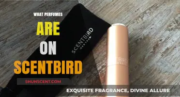 Discover Scentbird's Top Perfumes: A Guide to Their Best Scents