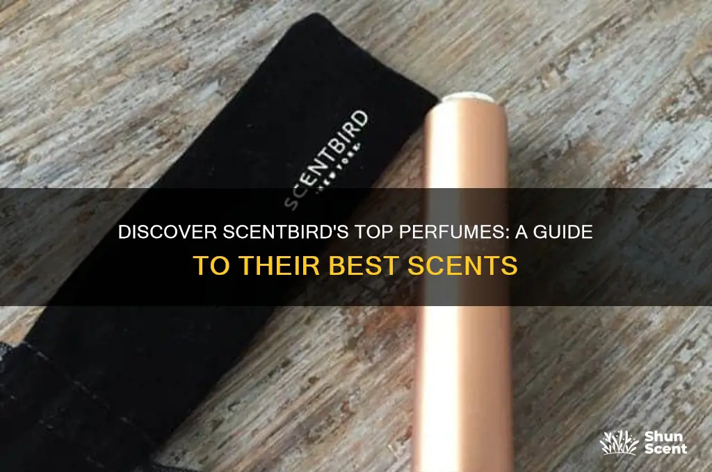 what perfumes are on scentbird