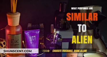 Discover Scents Like Alien: Top Similar Perfumes to Try