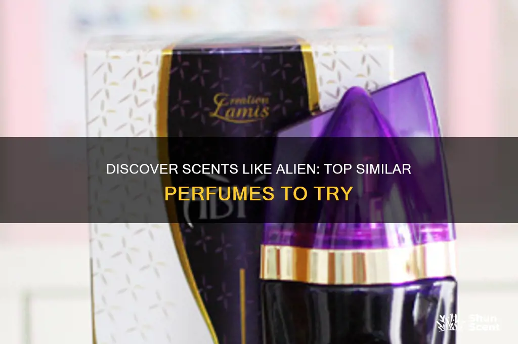 what perfumes are similar to alien