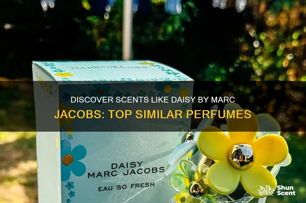 what perfumes are similar to daisy by marc jacobs