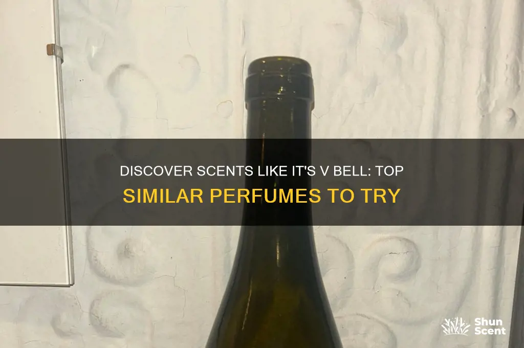 what perfumes are similar to it