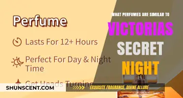Discover Scents Like Victoria's Secret Night: Top Similar Perfumes