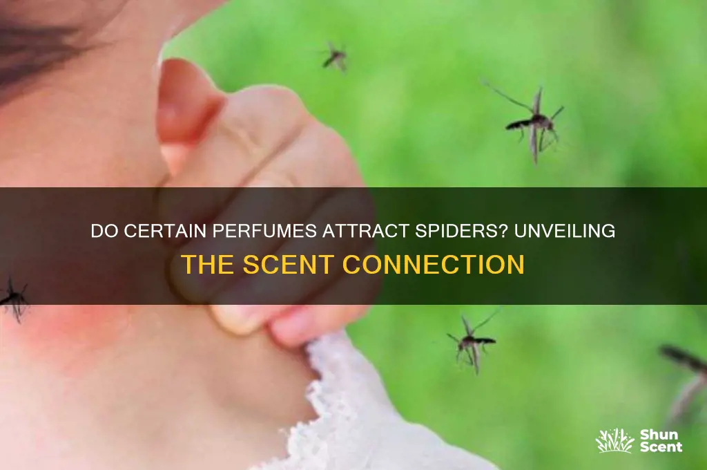what perfumes attract spiders