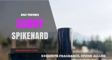 Discover Perfumes Infused with Spikenard: A Luxurious Aromatic Journey