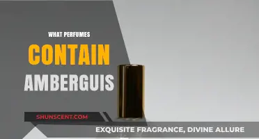 Exploring Perfumes with Ambergris: A Guide to Luxurious Scents