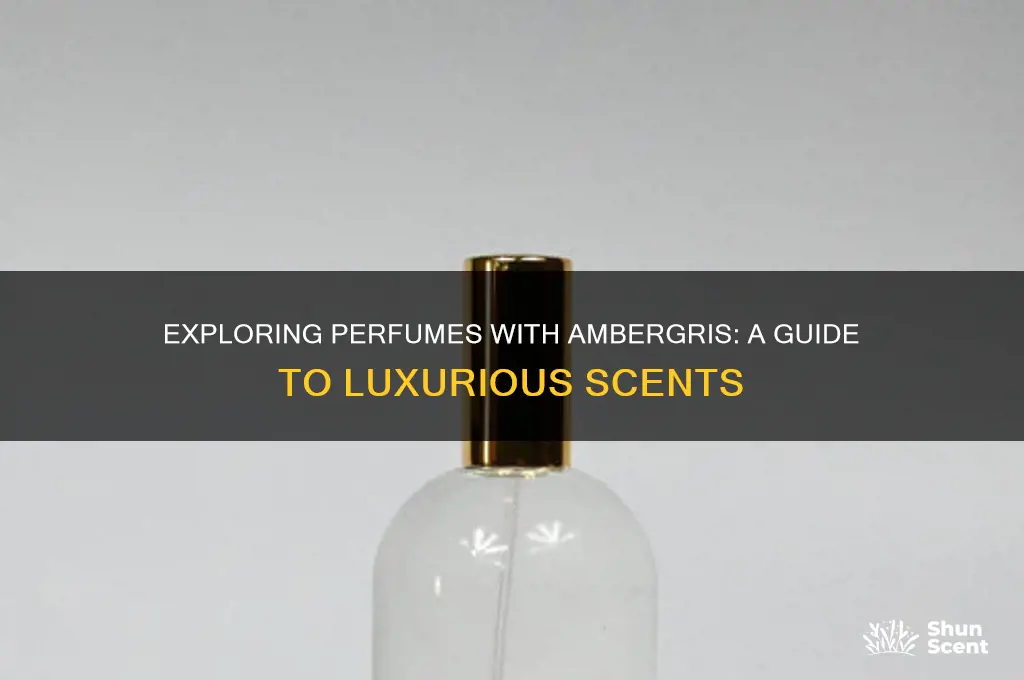 what perfumes contain amberguis