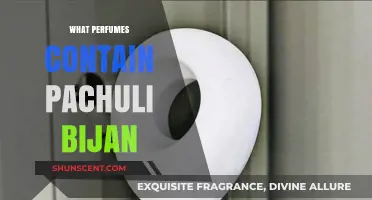 Discover Perfumes with Patchouli: Bijan's Signature Scent Explained
