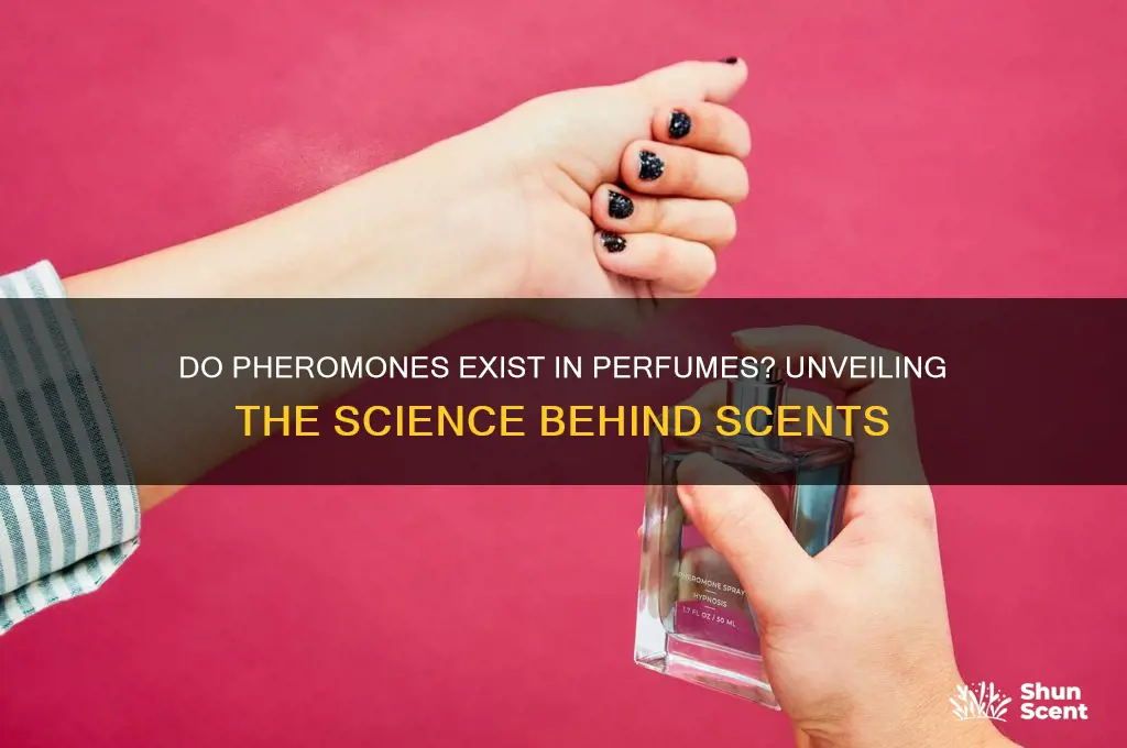 what perfumes contain pheromones