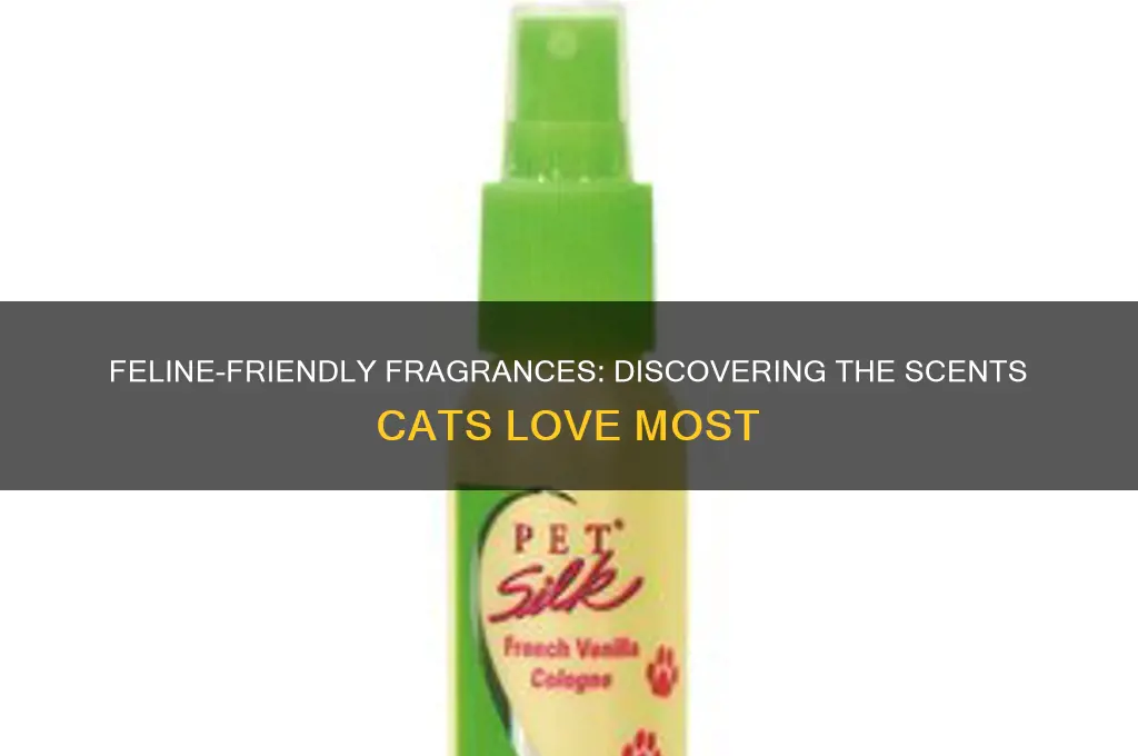 what perfumes do cats like