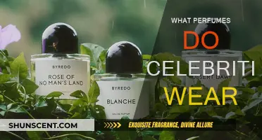 Celebrities' Favorite Fragrances: Scents of the Stars