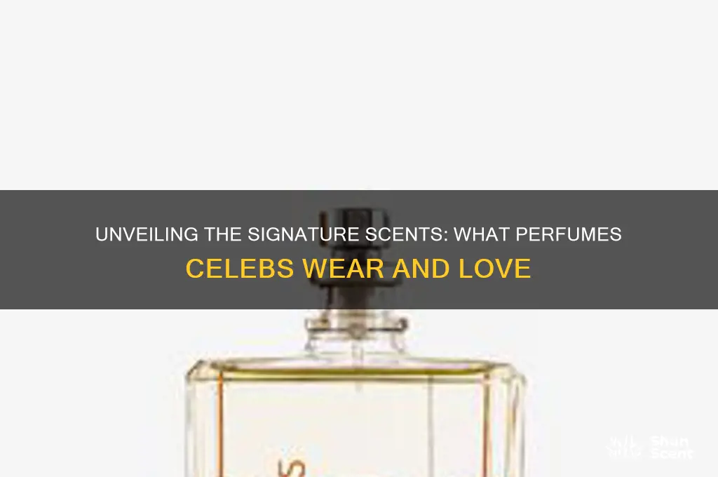 what perfumes do celebs wear
