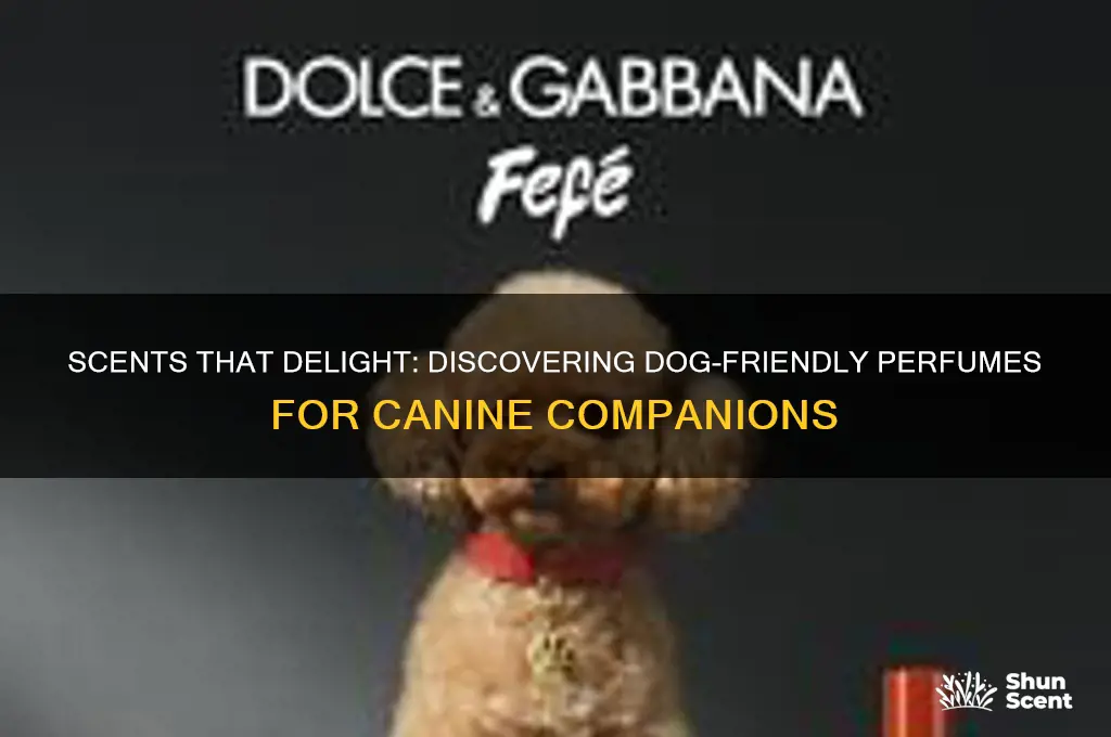 what perfumes do dogs like