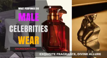Unveiling the Signature Scents: What Perfumes Do Male Celebrities Wear?