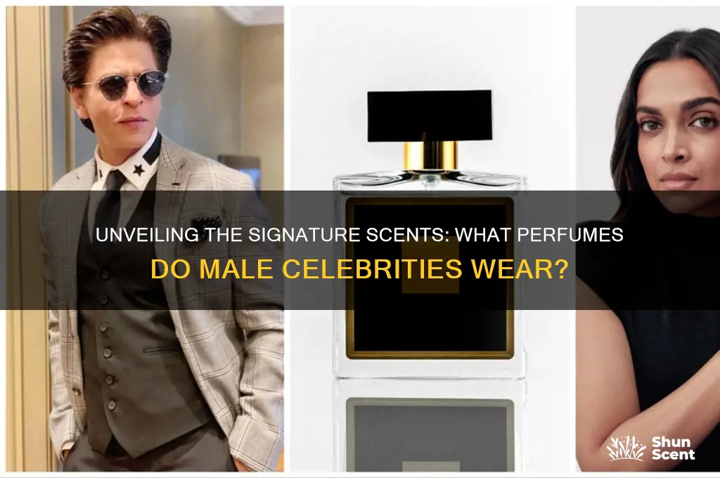 what perfumes do male celebrities wear
