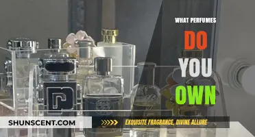 My Signature Scents: A Personal Journey Through My Perfume Collection