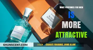 Top Attractive Men's Perfumes: Enhance Your Charm with These Scents