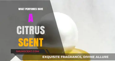 Fresh and Zesty: Top Citrus-Scented Perfumes to Try Now