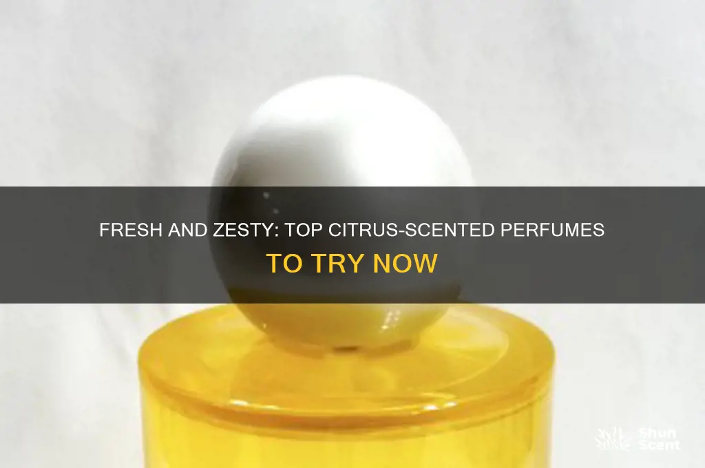 what perfumes have a citrus scent