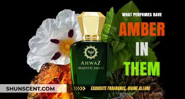 Discover Amber-Infused Perfumes: Warm, Sensual Scents to Try Now