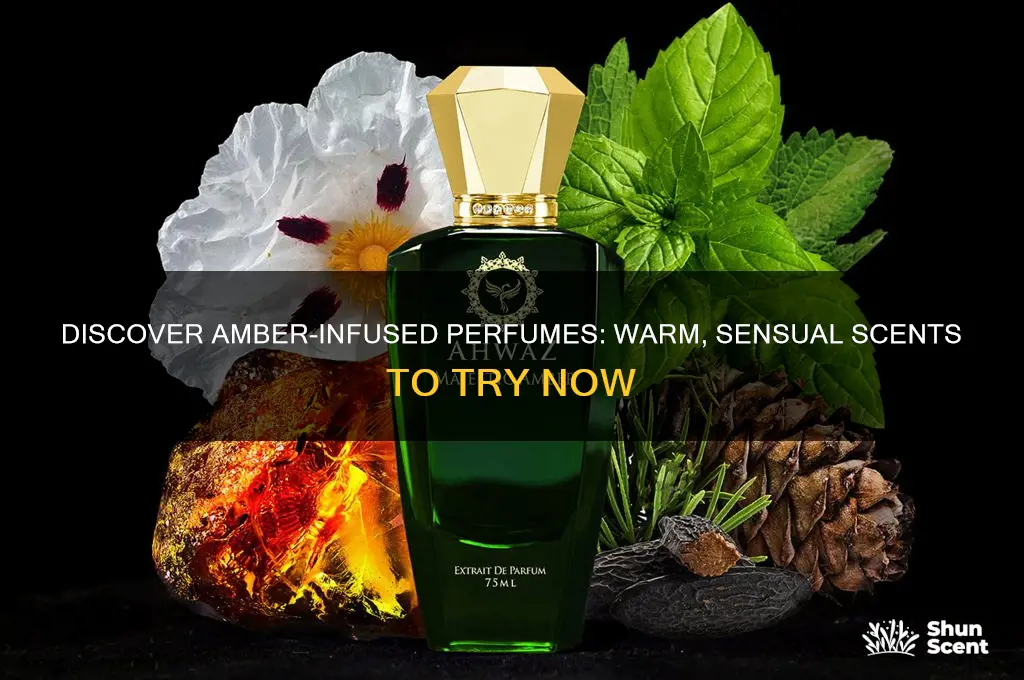 what perfumes have amber in them