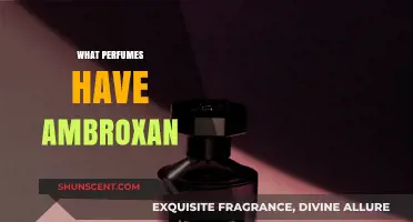 Discover Ambroxan: Perfumes Featuring This Alluring Aromatic Ingredient