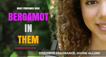 Discover Bergamot-Infused Perfumes: Top Scents with Citrus Elegance