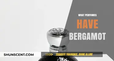 Bergamot-Based Perfumes: A Fragrant Citrus Splash