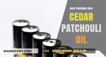Discover Perfumes Infused with Cedar and Patchouli Oil Aromas