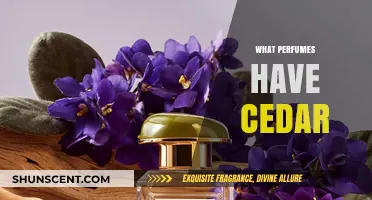 Discover Cedar-Infused Perfumes: Woody Aromas for Every Occasion