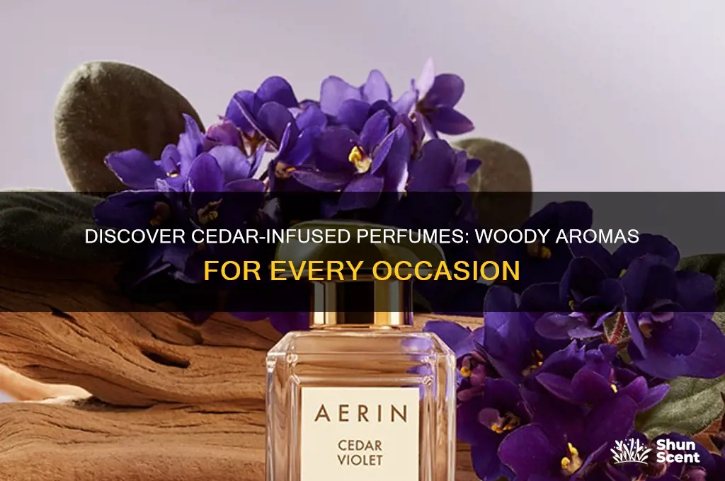 what perfumes have cedar