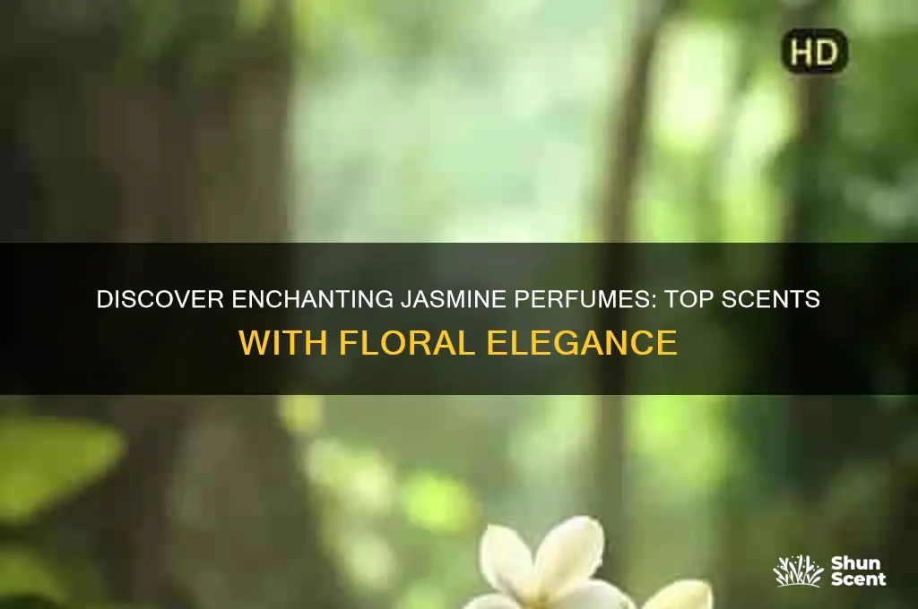 what perfumes have jasmine