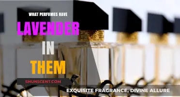 Discover Enchanting Lavender Perfumes: Top Scents with Soothing Notes