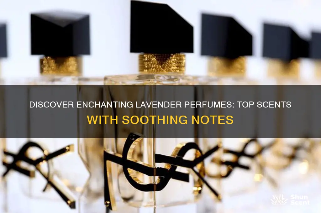 what perfumes have lavender in them