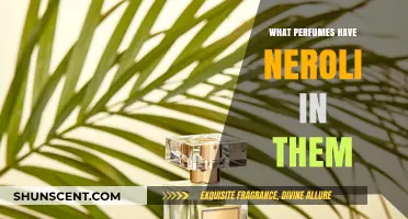 Discover Neroli-Infused Perfumes: Top Scents with Citrusy Elegance