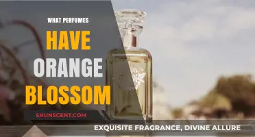 Discover Enchanting Perfumes Featuring Orange Blossom Notes for a Fresh Scent
