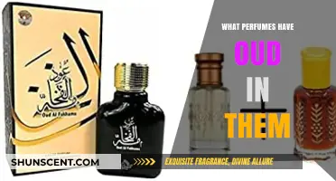Discover Luxurious Oud Perfumes: Top Scents with Rich Woody Notes