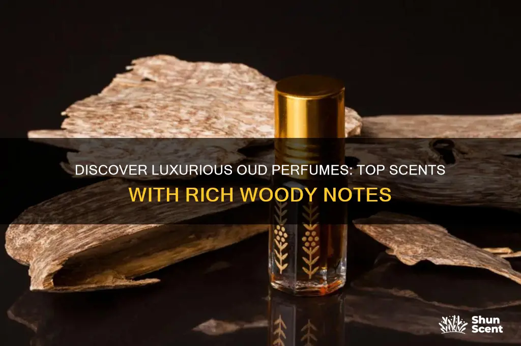 what perfumes have oud in them