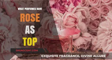 Discover Rose-Forward Perfumes: Top Notes That Bloom with Elegance