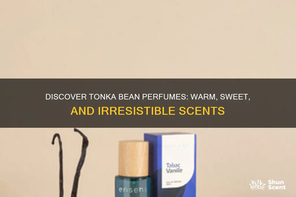 what perfumes have tonka bean
