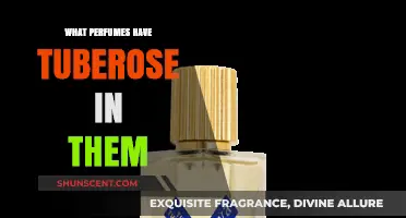 Discover Tuberose Perfumes: Top Scents Featuring This Iconic Floral Note