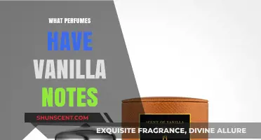 Discover the Sweetest Scents: Perfumes with Vanilla Notes