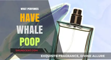 Whale Poop in Perfumes: Unveiling the Surprising Ambergris Connection