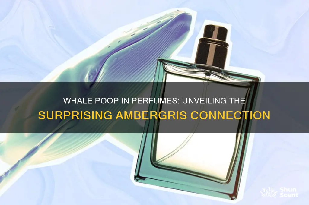 what perfumes have whale poop