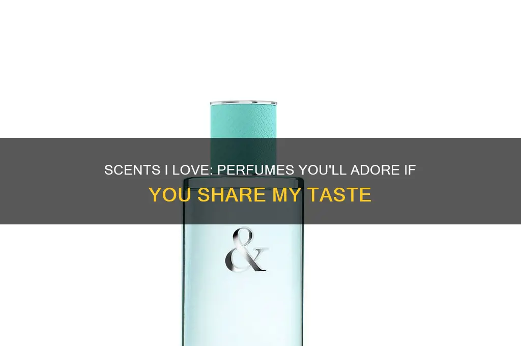 what perfumes i like i fyou like you will like