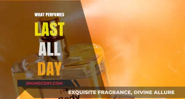 Long-Lasting Scents: Perfumes That Endure All Day