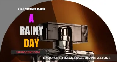 Rainy Day Scents: Perfumes to Match the Mood of a Stormy Sky