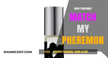 Discover the Perfect Perfumes to Complement Your Unique Pheromone Chemistry