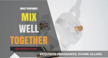 Blend Like a Pro: Top Perfume Combinations for a Unique Scent